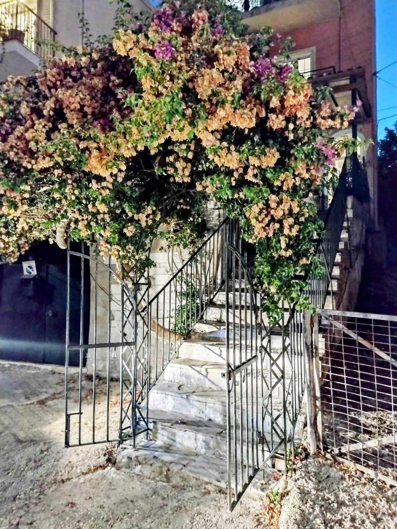 Corfu Pelekas Apartment 2 外观 照片